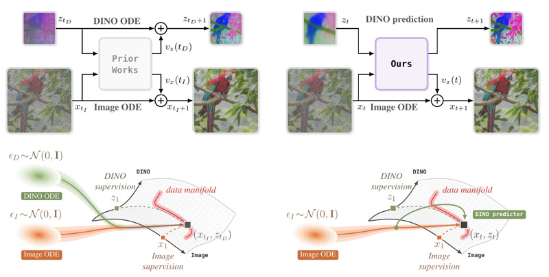 Dino Forcing Flow Models: Do not denoise what you can predict